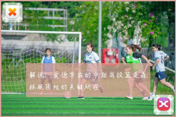 解说：爱德华兹的中距离投篮是森林狼团结的关键所在