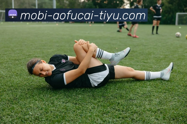 大发彩票平台生态图