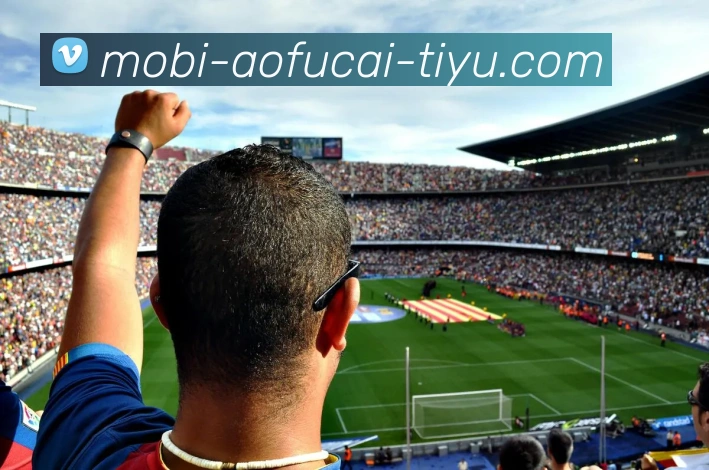 大发彩票APP 封面图